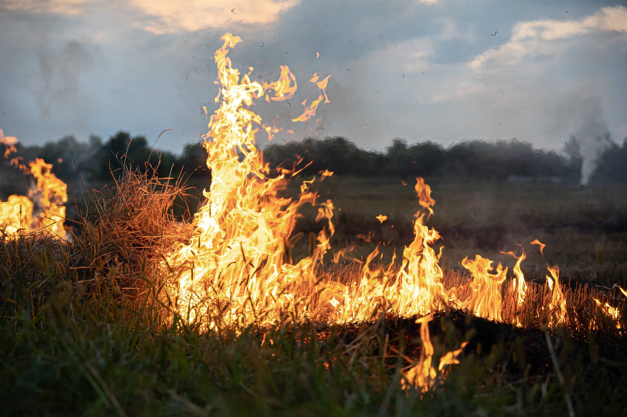 Fogo em um campo