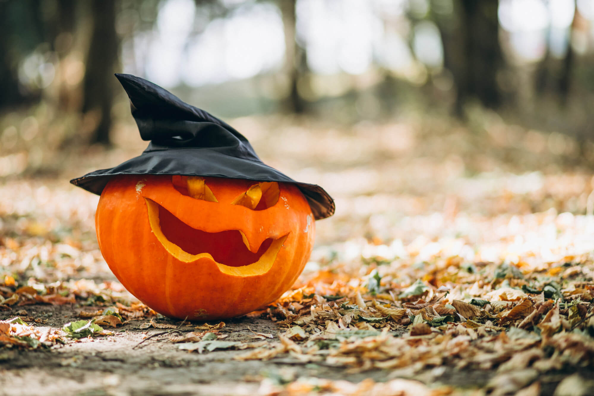 Abóbora com chapéu de halloween